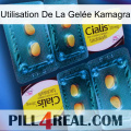 Utilisation De La Gelée Kamagra cialis5
